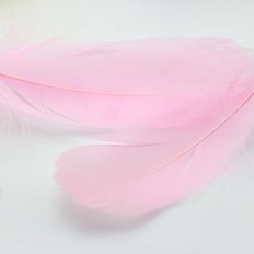Перо Гуся (Розовый) 13-18см, 1шт