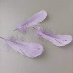 Перо Гуся (Сирень) 13-18см, 1шт