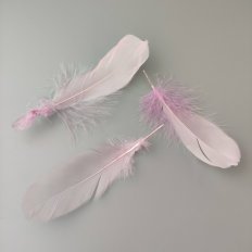 Перо Гуся (Пыльная роза) 13-18см, 1шт